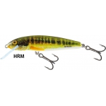 SALMO  MINNOW  5cm sinking-floating